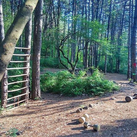 Green Trebjesa Apartment Нікшич Екстер'єр фото